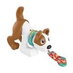 Análisis del perrito que gatea conmigo de Fisher Price: ¡Descubre sus ventajas y compáralo con otros juguetes similares!